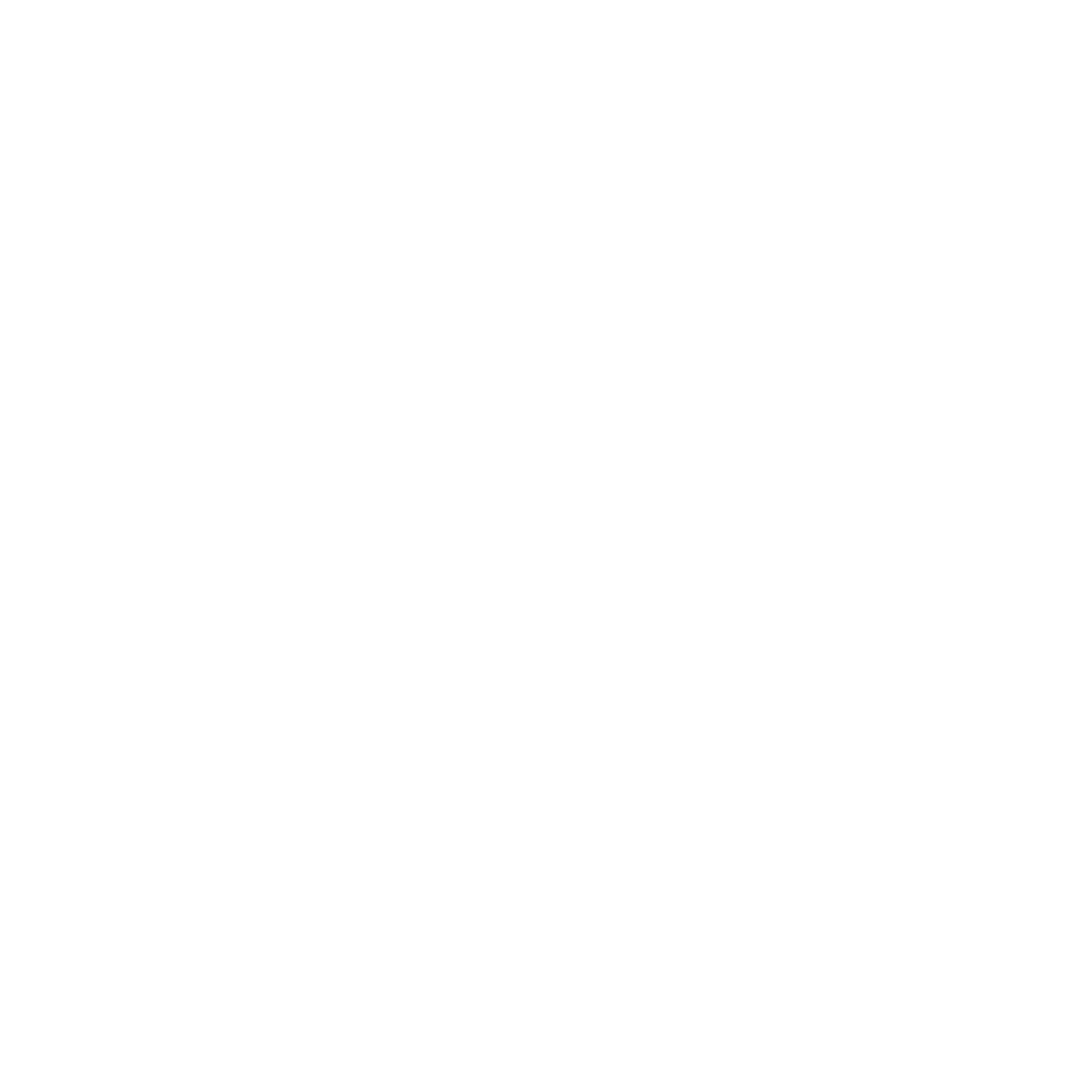 logo light