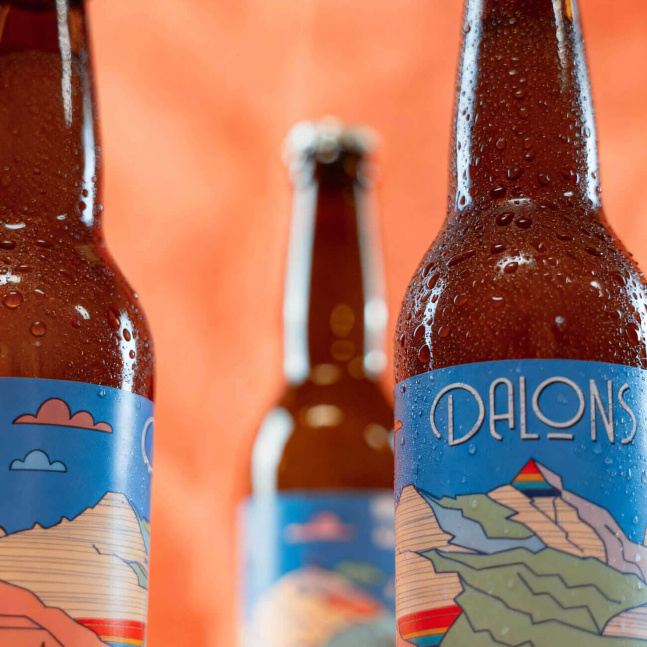 Brasserie Dalons - Bière Dalons