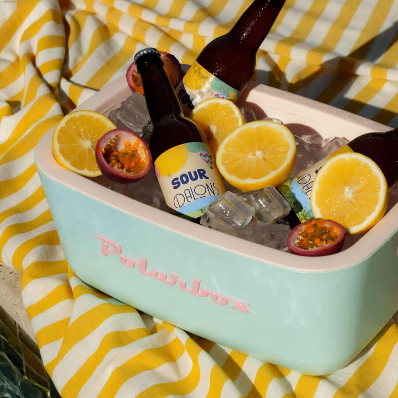 Brasserie Dalons - Bière Sour dans une glacière