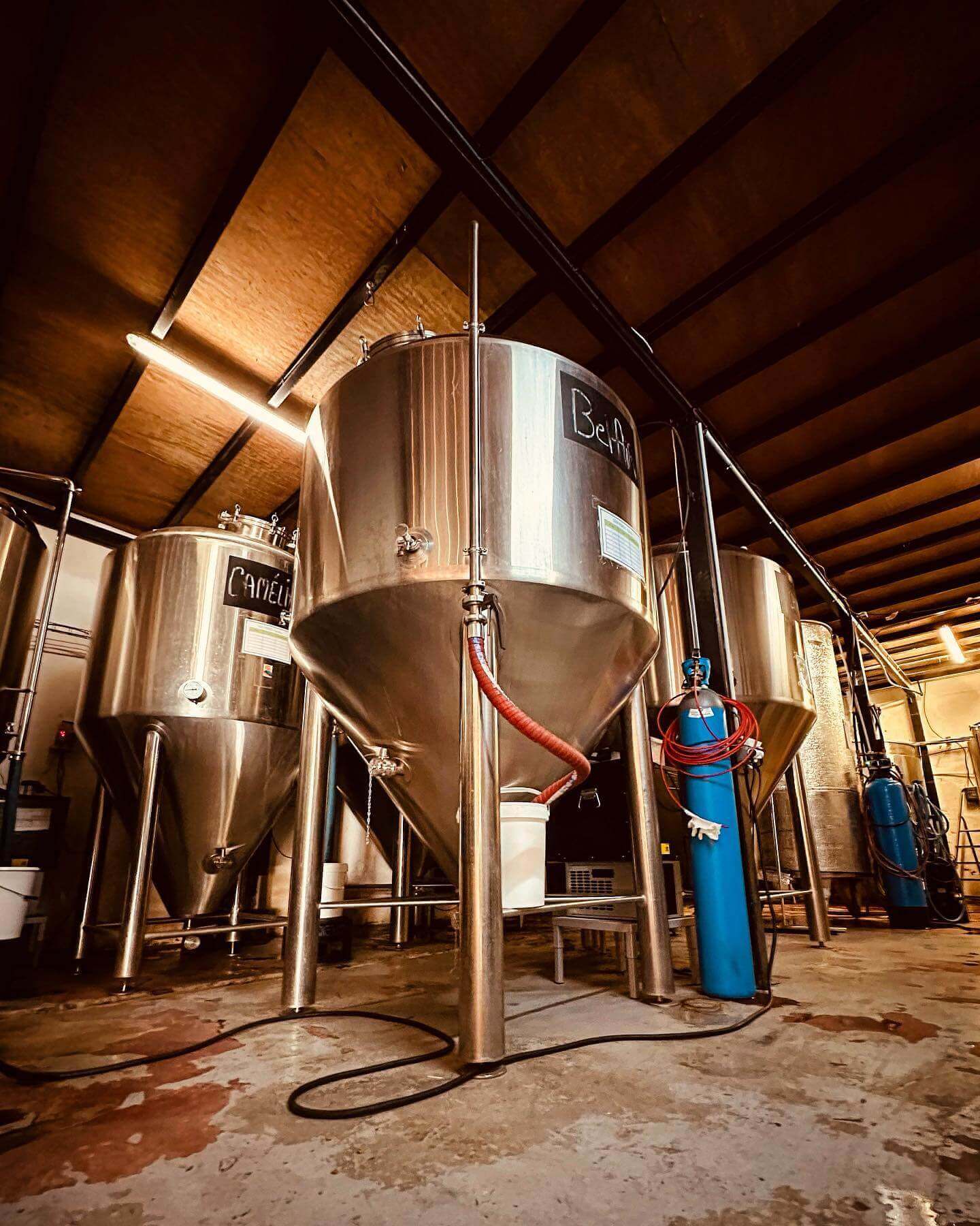 Brasserie Dalons - Sainte-Marie - Cuves