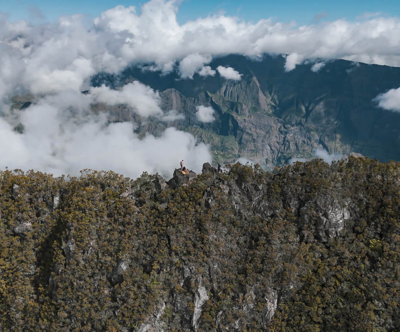 Brasserie Dalons - Paysage montagnes Réunion