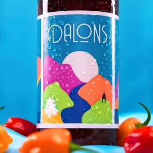 Brasserie Dalons - Bière Sour Pitaya Piment Thym